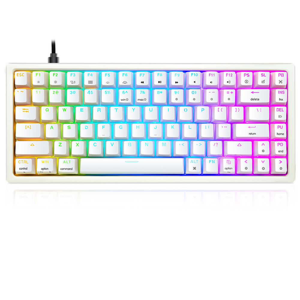 Skyloong Keyboard:Gk84 White / Brown Switches